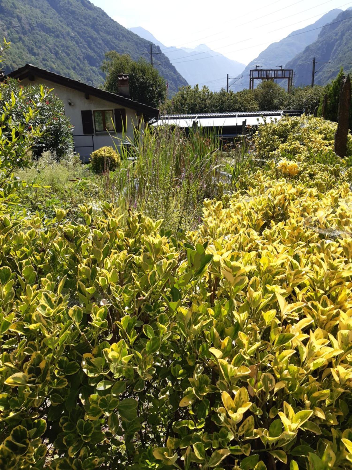 Bed and Breakfast Grotto Pergola Giornico Экстерьер фото