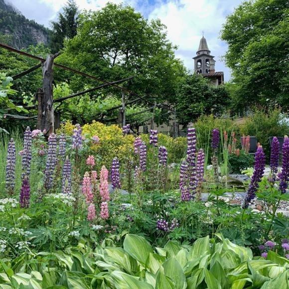 Bed and Breakfast Grotto Pergola Giornico Экстерьер фото